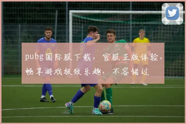 pubg国际服下载，官服正版体验，畅享游戏极致乐趣，不容错过