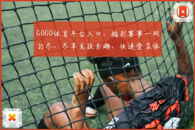 GOGO体育平台入口，精彩赛事一网打尽，尽享竞技乐趣，快速登录体验